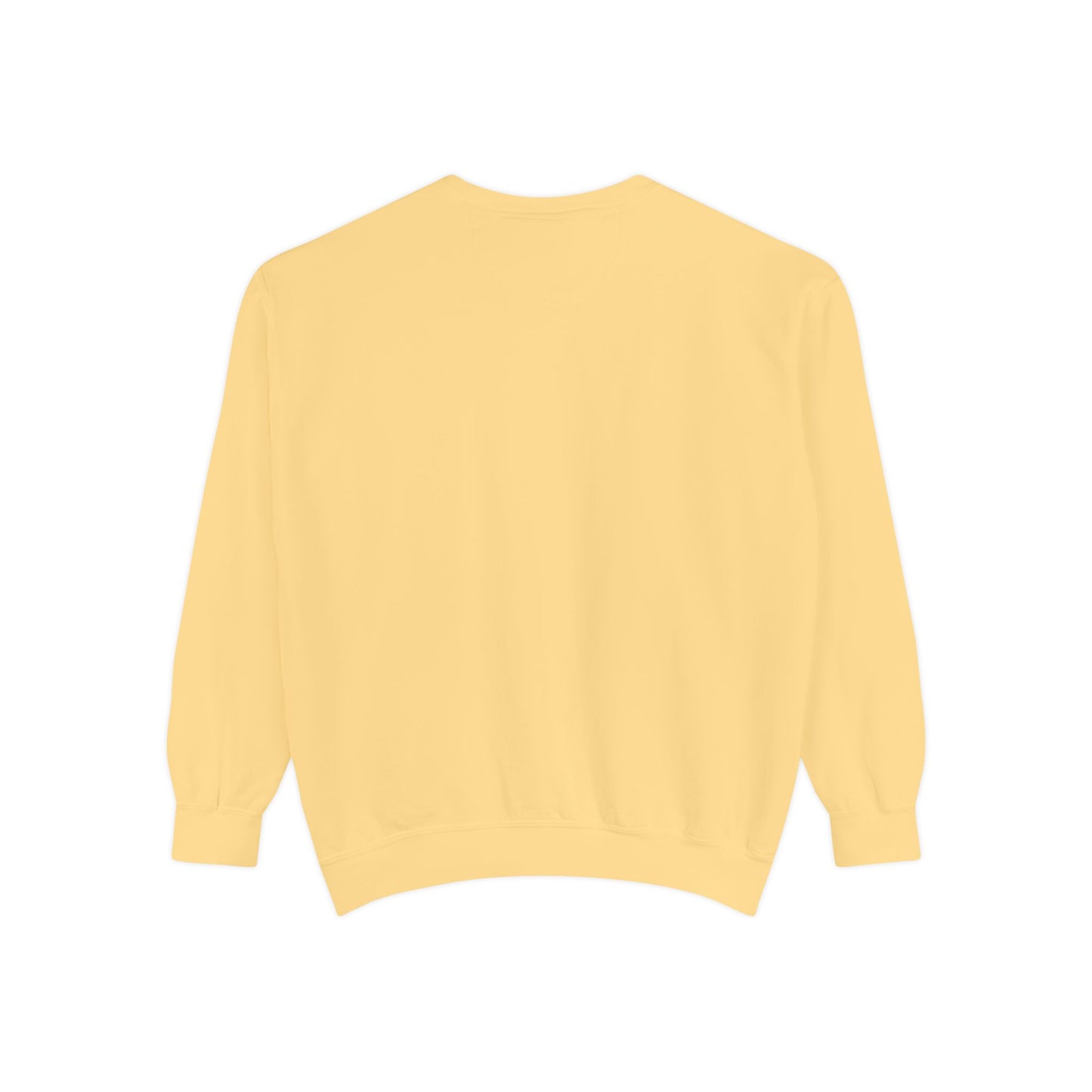 AFA Retro Sunset Gradient Aviator Sweatshirt