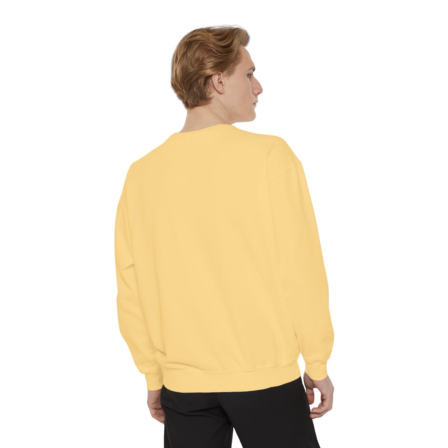 AFA Retro Sunset Gradient Aviator Sweatshirt