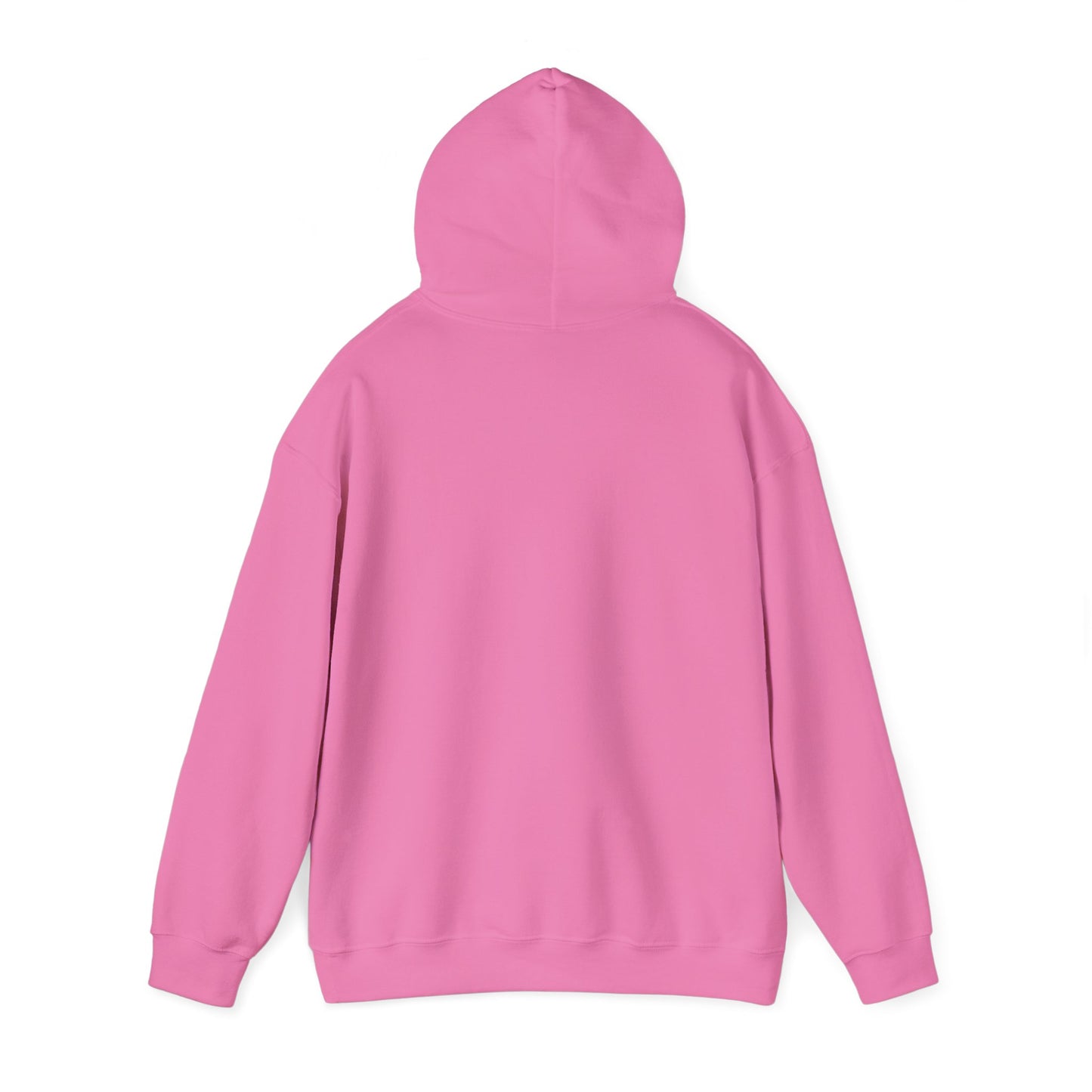 AFA Fillies Heavy Blend Hoodie